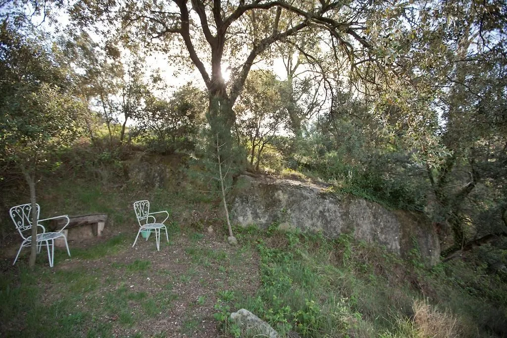Hostal Cal Viudet Vell Caserras 0*,